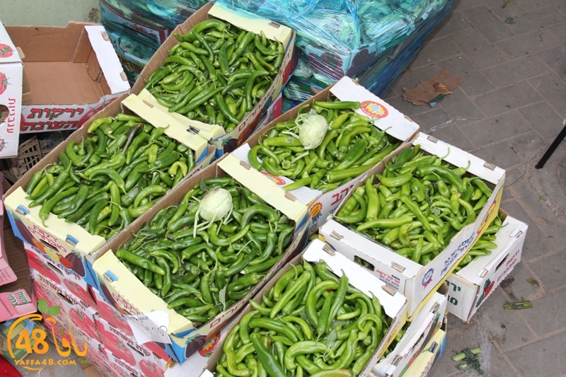 yaffa sooq jwjq (3).JPG